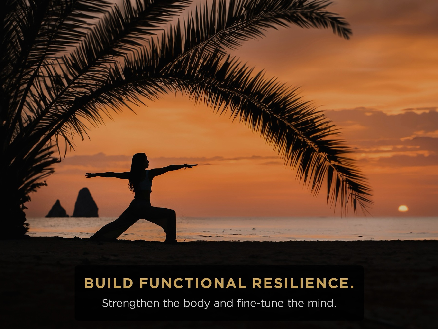 Gün batımında palmiyenin altında savaşçı duruşunda bir kadın silueti; üzerinde "Build functional resilience."