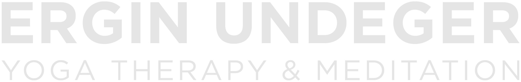 erginundeger yoga meditation breathwork recharge retreat workshop vinyasa recovery functional insight